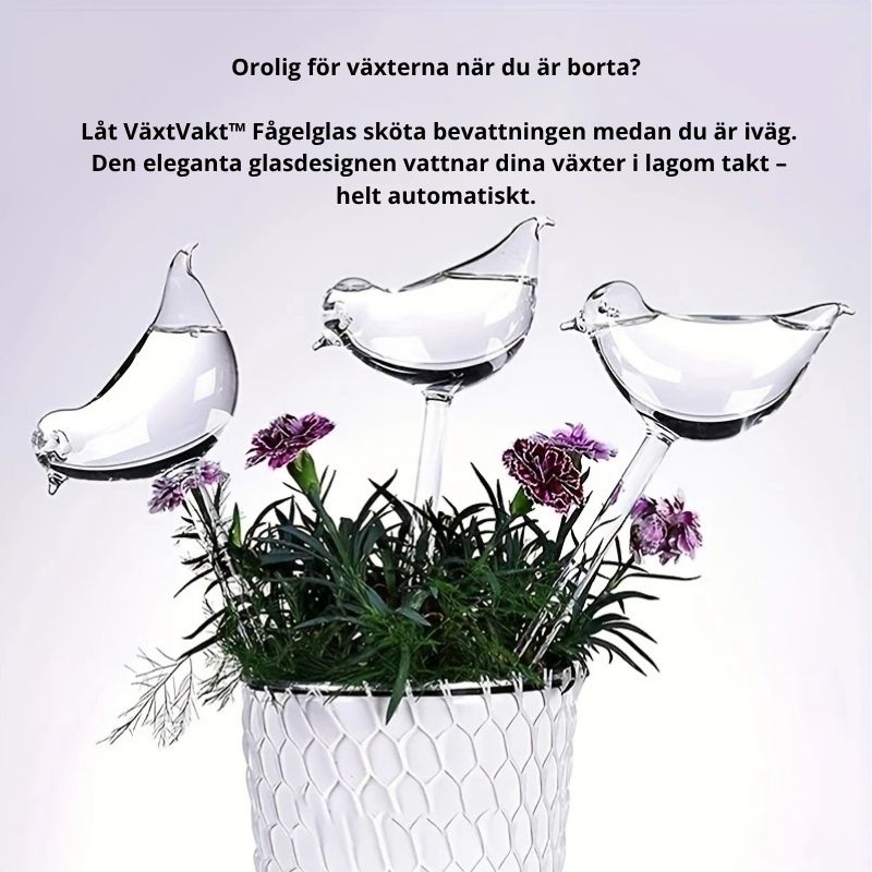 VäxtVakt™ – Vattnar medan du är borta